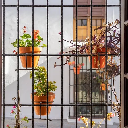 Vakantiehuis Casa Blanca Estepona